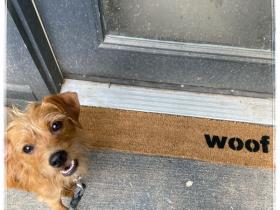 Woof speak dog doormat with playful dog illustration and text