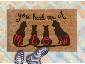 a person's feet in striped rain boots standing on a doormat with the phrase "you had me at meow" written on it and silhouettes of cats